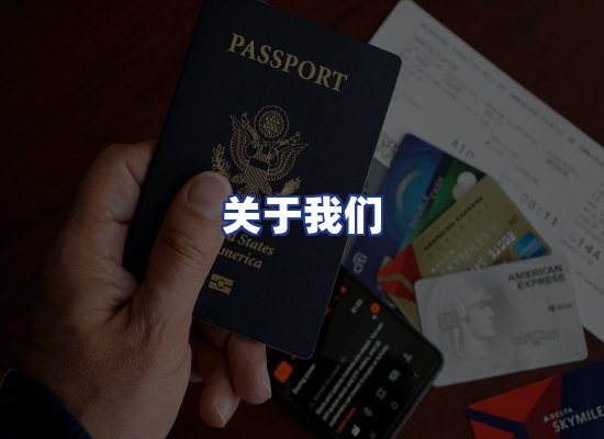 专业团队