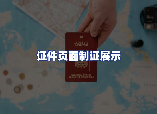 证件页面制证展示